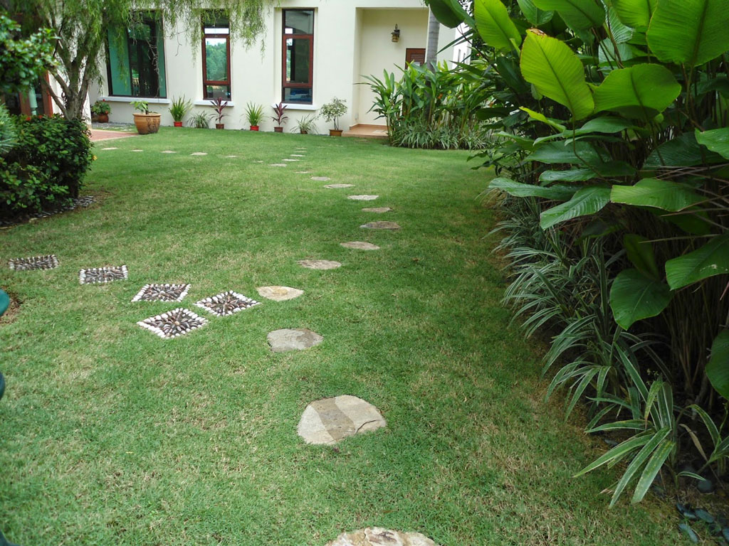 gallery7